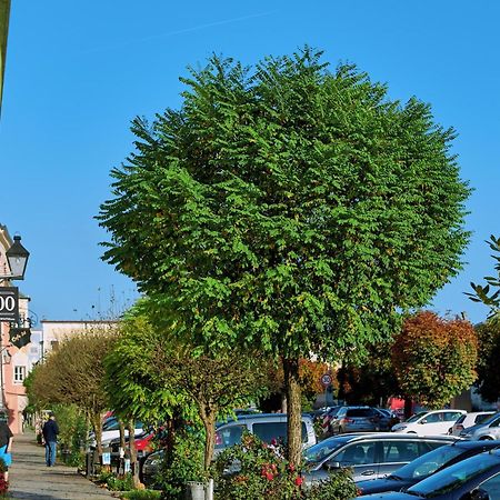 Ferienwohnung Tittmoning Zwischen Salzburg, Burghausen Und Oesterreich Eksteriør bilde