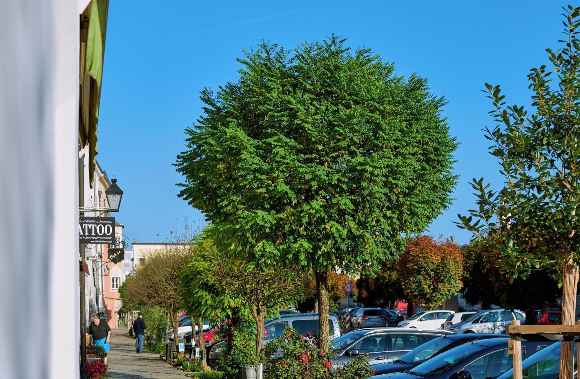 Ferienwohnung Tittmoning Zwischen Salzburg, Burghausen Und Oesterreich Eksteriør bilde